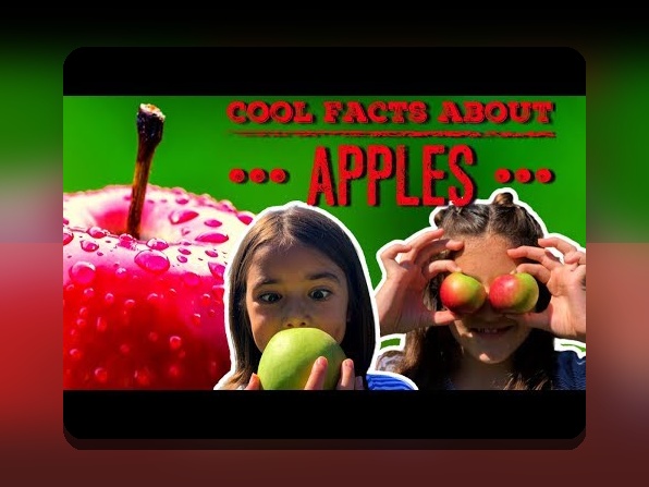 سیب لرن چیست و چگونه میتواند تغییراتی در سایت شرط بندی شما ایجاد کند؟